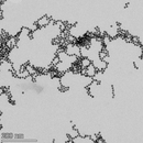 13nm Standard Gold Nanoparticles-2