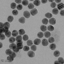 13nm Standard Gold Nanoparticles-3