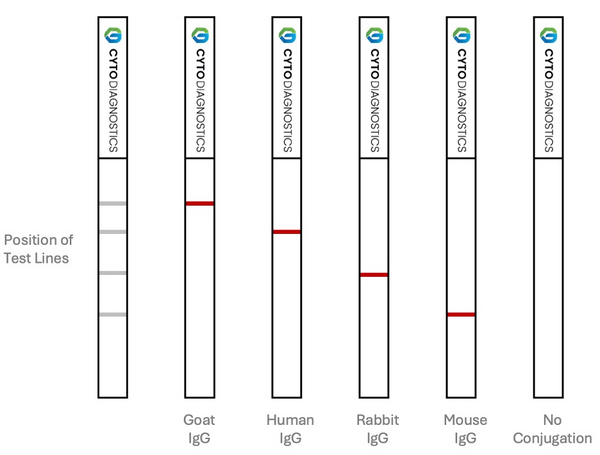 20nm NHS-Activated Gold Nanoparticle Conjugation Kit (10 Reactions)