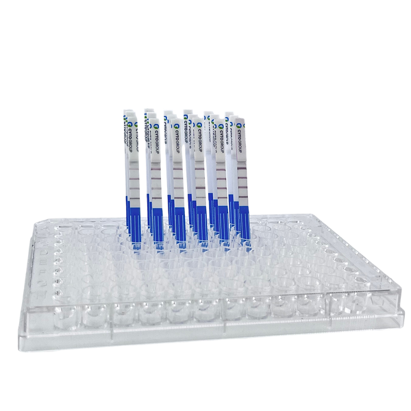 Rabbit IgG Fc Lateral Flow Dipstick Assay Kit