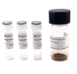 10nm NHS-Activated Silver Nanoparticle Conjugation Kit (MIDI Scale-Up Kit)