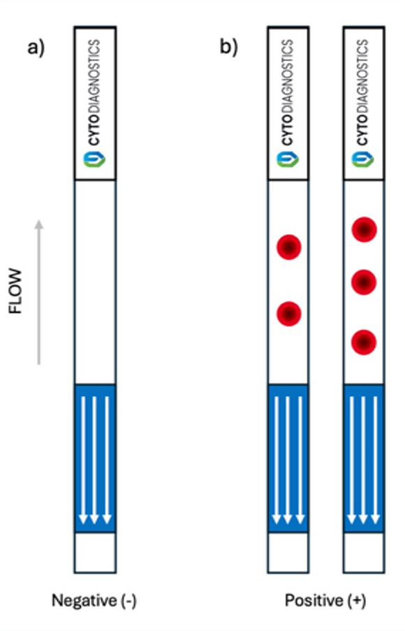 Lateral Flow Development Kit Lateral Flow