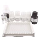 Human VEGF ELISA Kit-2