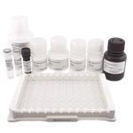 Human VEGF ELISA Kit