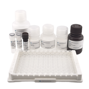 Human IL-6 ELISA Kit