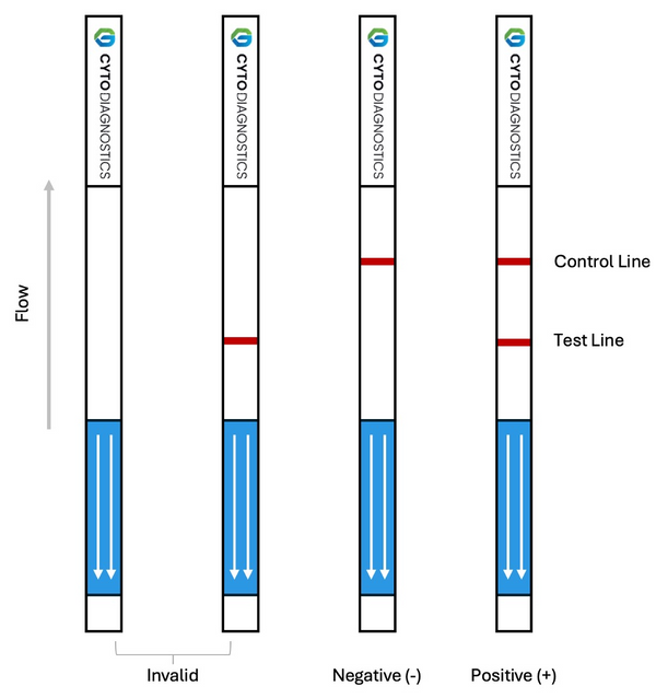 Mouse IgG Fc Lateral Flow Dipstick Assay Kit