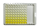 Mouse IgG ELISA Kit-3