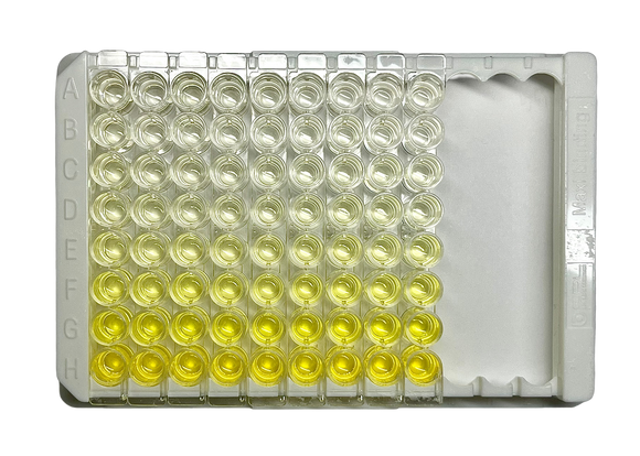 Mouse IL-6 ELISA Kit