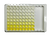 Mouse IL-6 ELISA Kit