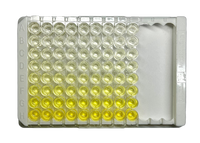 Human CXCL10 ELISA Kit