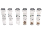 80nm NHS-Activated Silver Nanoparticle Conjugation Kit (3 Reactions)