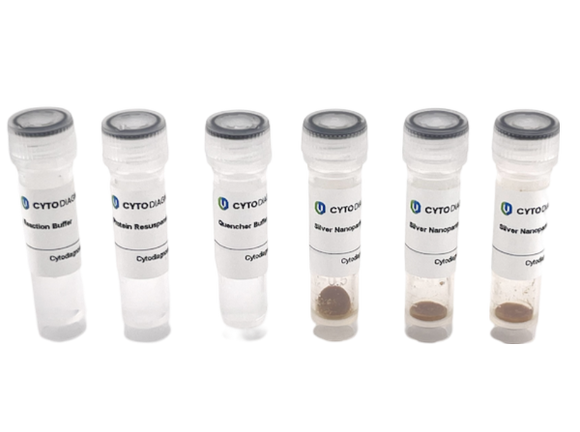 40nm NHS-Activated Silver Nanoparticle Conjugation Kit (3 Reactions)