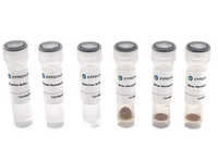 100nm NHS-Activated Silver Nanoparticle Conjugation Kit (3 Reactions)