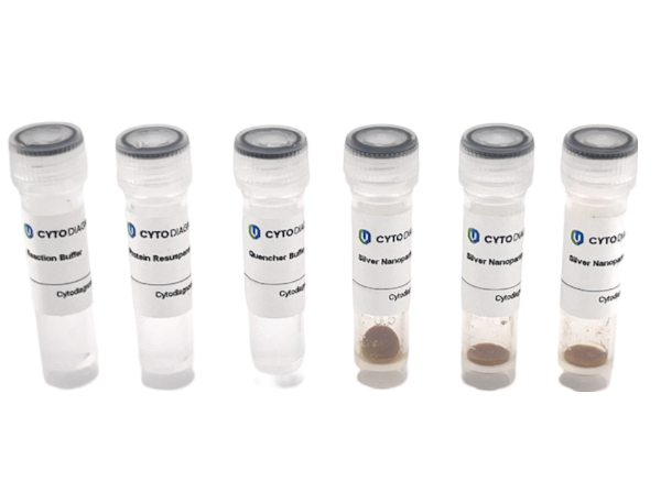 20nm NHS-Activated Silver Nanoparticle Conjugation Kit (3 Reactions)