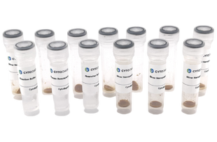 40nm NHS-Activated Silver Nanoparticle Conjugation Kit (10 Reactions)