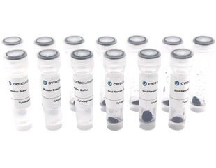 80nm Maleimide-Activated Gold NanoUrchins Conjugation Kit (10 Reactions)