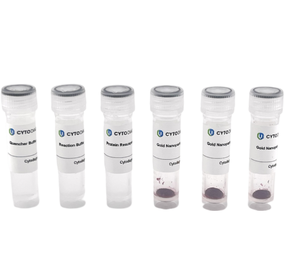 90nm Maleimide-Activated Gold Nanoparticle Conjugation Kit (3 Reactions)