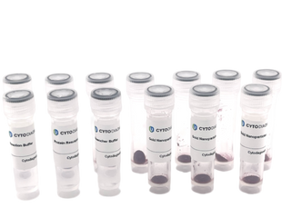 50nm NHS-Activated Gold Nanoparticle Conjugation Kit (10 Reactions)