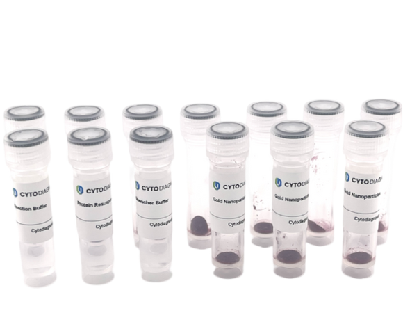 10nm Maleimide-Activated Gold Nanoparticle Conjugation Kit (10 Reactions)