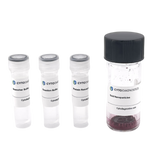 70nm NHS-Activated Gold Nanoparticle Conjugation Kit (MIDI Scale-Up Kit)