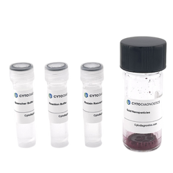 70nm NHS-Activated Gold Nanoparticle Conjugation Kit (MIDI Scale-Up Kit)