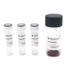 50nm Maleimide-Activated Gold Nanoparticle Conjugation Kit (MIDI Scale-Up Kit)-1