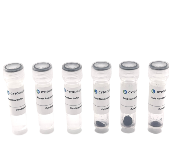 70nm NHS-Activated Gold NanoUrchins Conjugation Kit (3 Reactions)