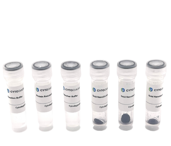 90nm NHS-Activated Gold NanoUrchins Conjugation Kit (3 Reactions)