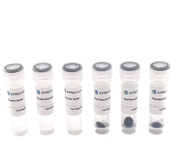 60nm Maleimide-Activated Gold NanoUrchins Conjugation Kit (3 Reactions)