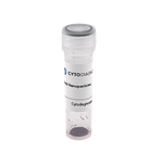 Covalent Streptavidin - 15nm Gold Conjugate