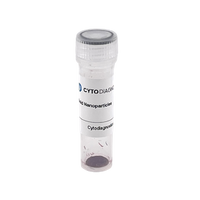 Covalent Streptavidin - 20nm Gold Conjugate