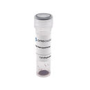 Covalent Streptavidin - 50nm Gold Conjugate-2