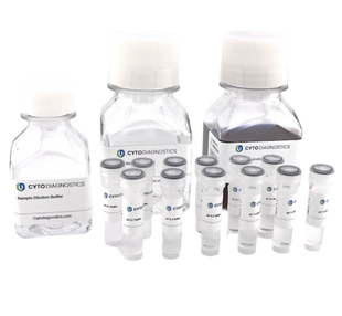 Gold NanoUrchin Nanoparticle Conjugation Optimization Kit - 60nm