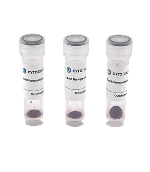 5nm OligoREADY Gold Nanoparticle Conjugation Kit (3 reactions)