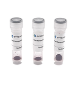 5nm OligoREADY Gold Nanoparticle Conjugation Kit (3 reactions)