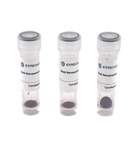 5nm AptamerREADY Gold Nanoparticle Conjugation Kit (3 reactions)