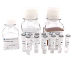 Gold Nanoparticle Conjugation Optimization Kit - 40nm