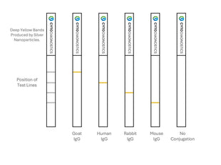 100nm Carboxylated (carboxyl-PEG3000-SH) Silver Nanoparticles