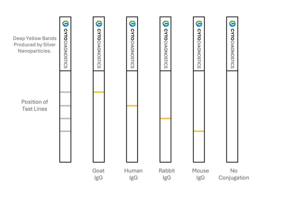 100nm Carboxylated (carboxyl-PEG3000-SH) Silver Nanoparticles