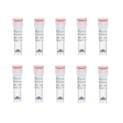 50nm OligoREADY Gold NanoUrchin Conjugation Kit (10 reactions)