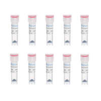 90nm OligoREADY Gold NanoUrchin Conjugation Kit (10 reactions)