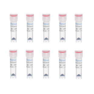 70nm OligoREADY Gold NanoUrchin Conjugation Kit (10 reactions)