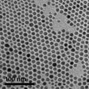 10nm Iron Oxide Nanoparticles TEM