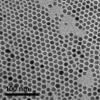 10nm Iron Oxide Nanoparticles TEM