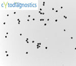 50nm silver nanoparticles - TEM