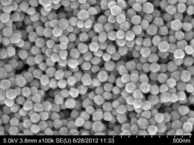 60nm gold nanoparticles SEM