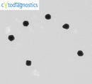 90nm gold nanoparticles TEM