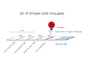 QC of Antigen Conjugated Gold Nanoparticles