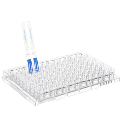 Mouse IgG Fc Lateral Flow Dipstick Assay Kit