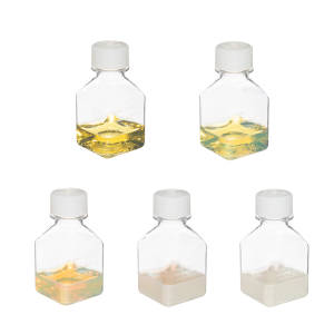 Silver Nanoparticles Introduction Kit (20nm-100nm)